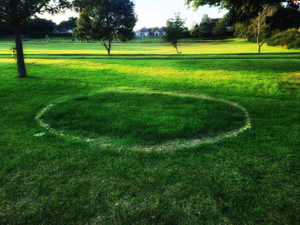 Fairy Ring